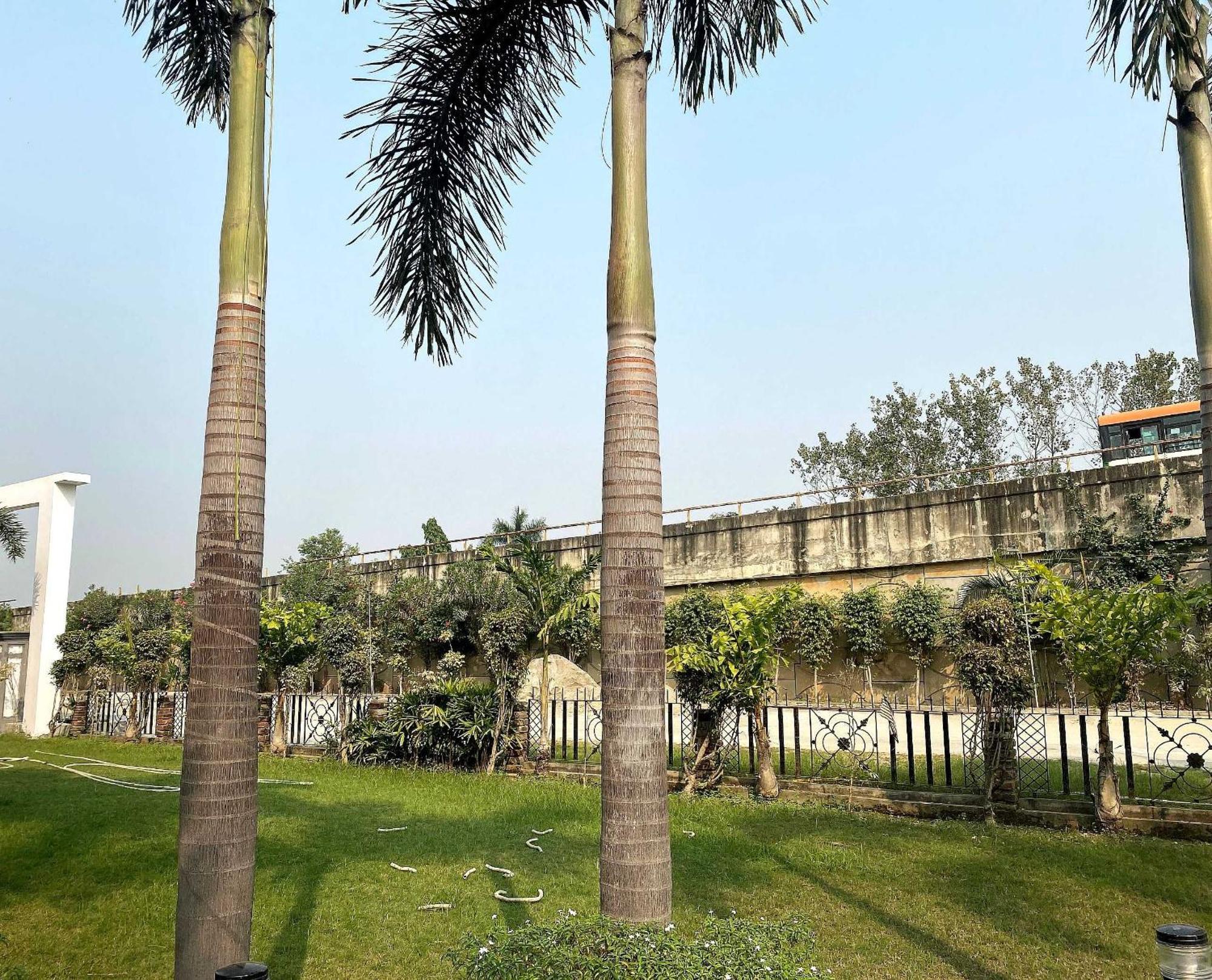 Hotel O The Resort Rampur Bushahr Exterior foto